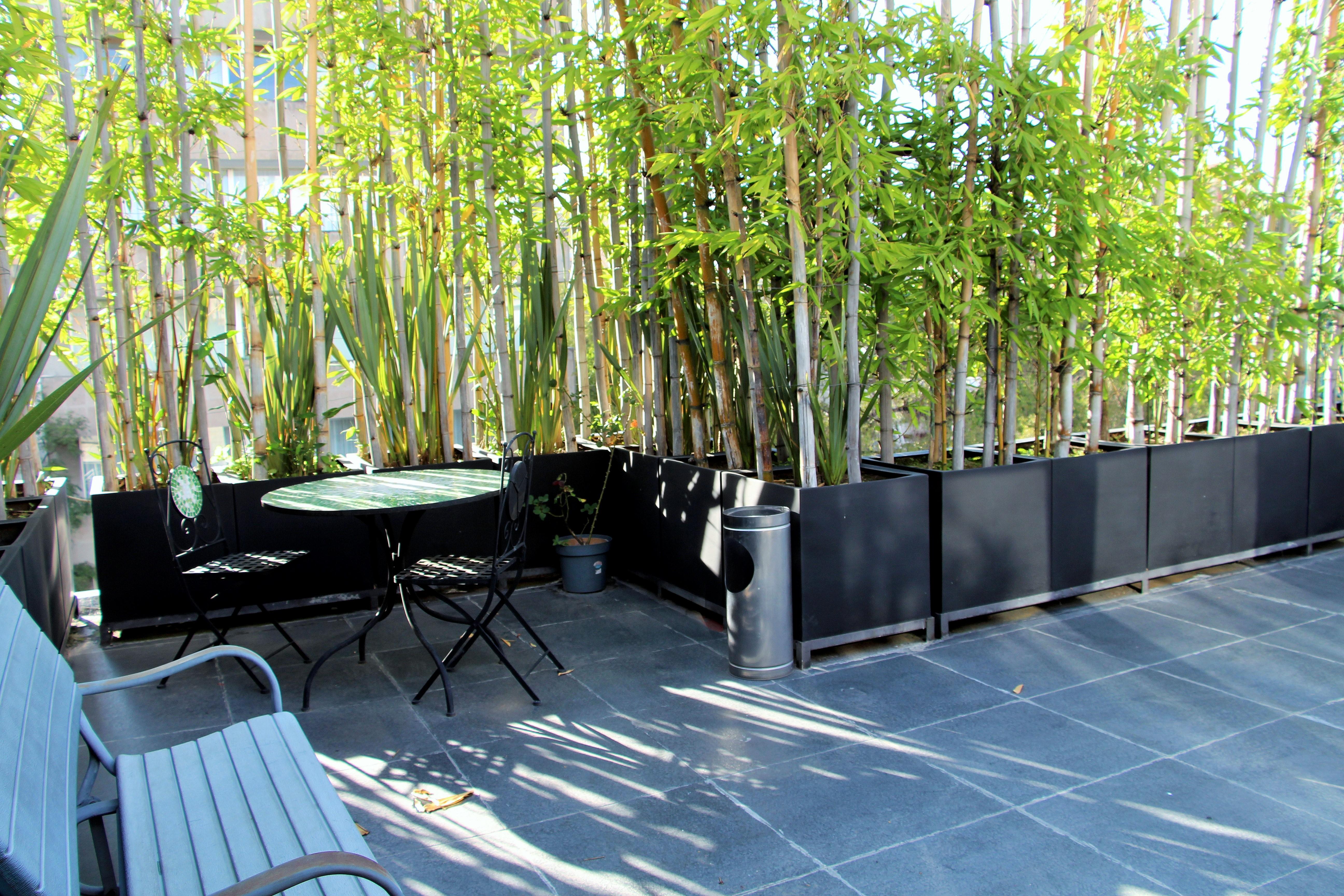 Aparthotel L' Heritage Hipolito Taine By Bluebay Mexico-stad
